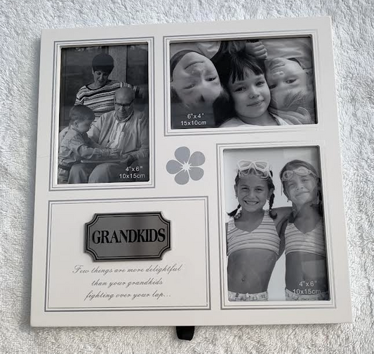 Picture Frame - Grandkids